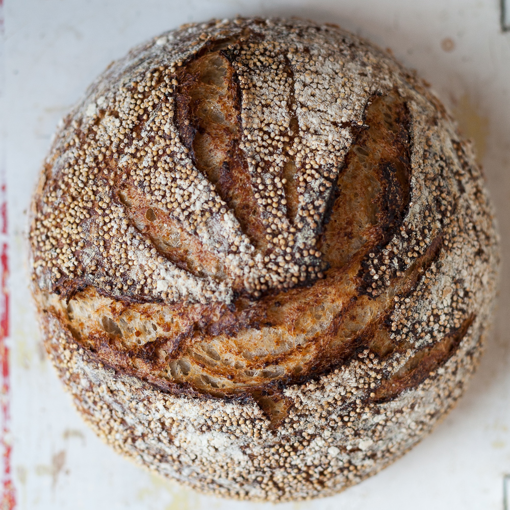 Tartine No. 3 Toasted Millet Porridge The Fresh Loaf